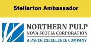 Northern pulp